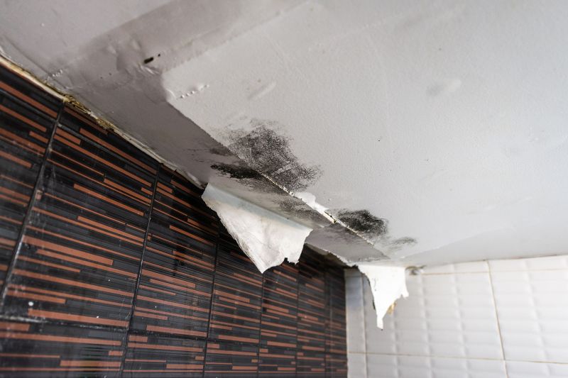 Attic Water Damage Repair in Summerville, SC